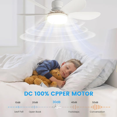 AeroLux – Ceiling Fan with LED Light