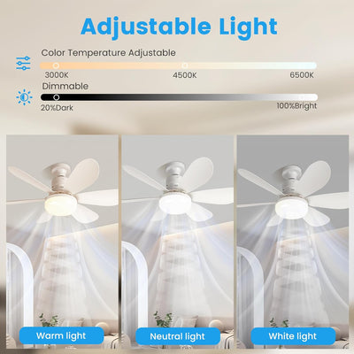 AeroLux – Ceiling Fan with LED Light