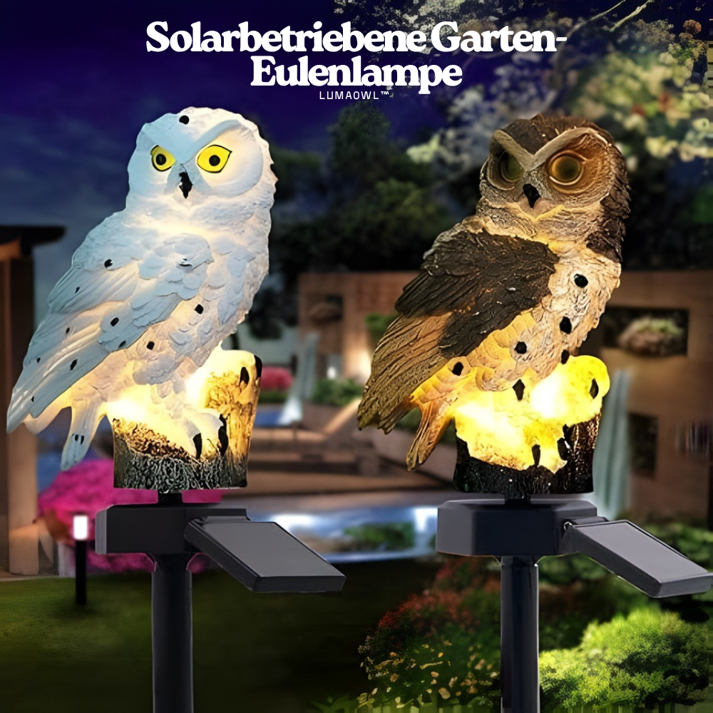 Solivon – Solar-Powered Owl Lamp
